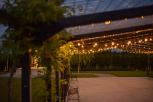 giardino-sera-49